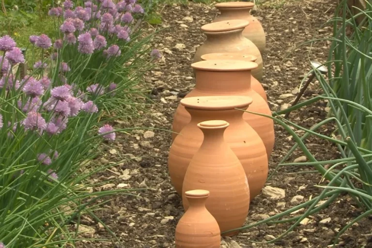 Oyas au potager : comment les installer, pour quelles cultures et quand ça vaut vraiment le coup