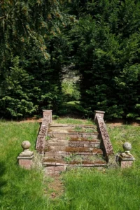 Haie d'arbustes taillée formant un écrin vert dans un jardin