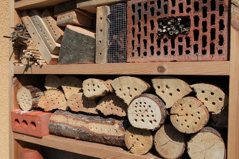 Hôtel à insectes installé dans un jardin