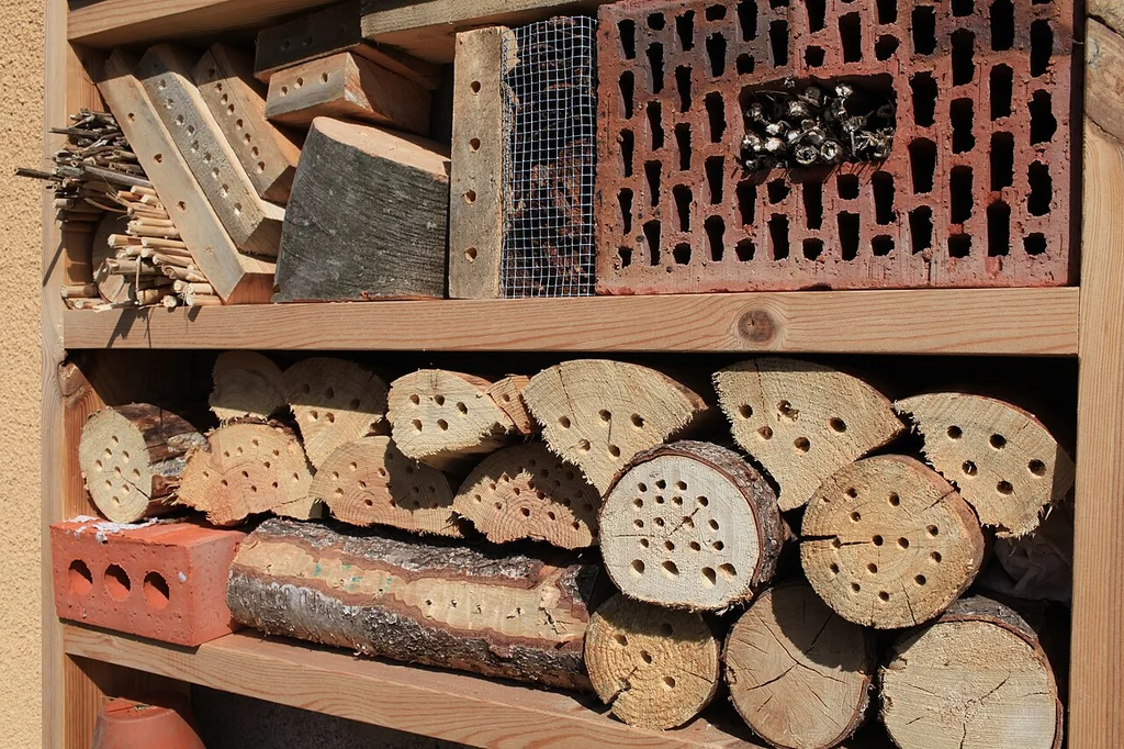 Hôtel à insectes installé dans un jardin