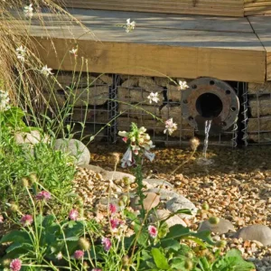 Jardin de pluie végétalisé pour recueillir le ruissellement