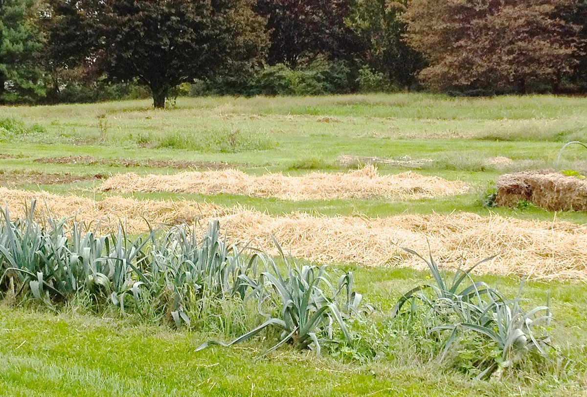 Choisir une couverture, puis évaluer les besoins des plantes
